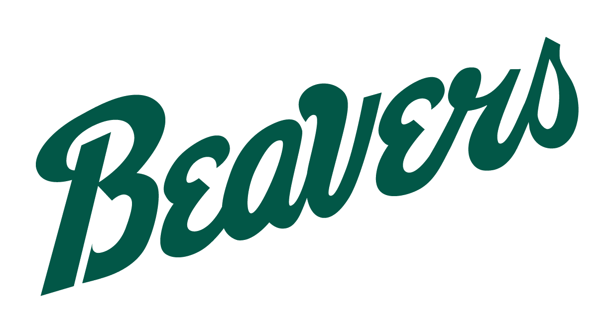 Bemidji State College