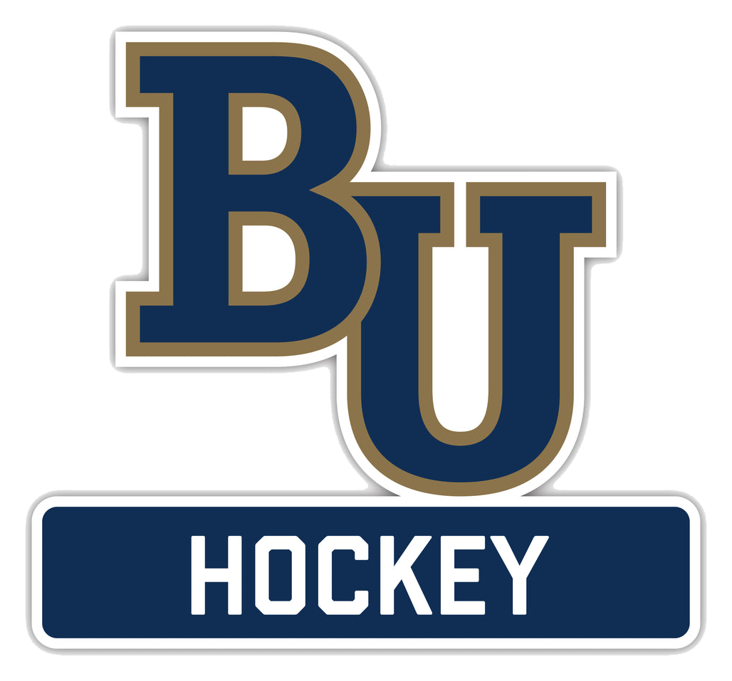 Bethel University