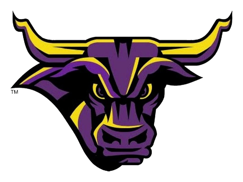 Minnesota State University-Mankato