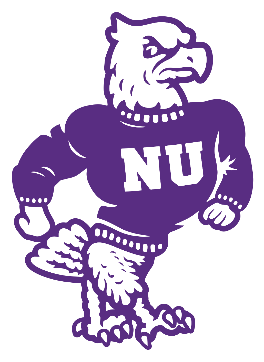Niagara University