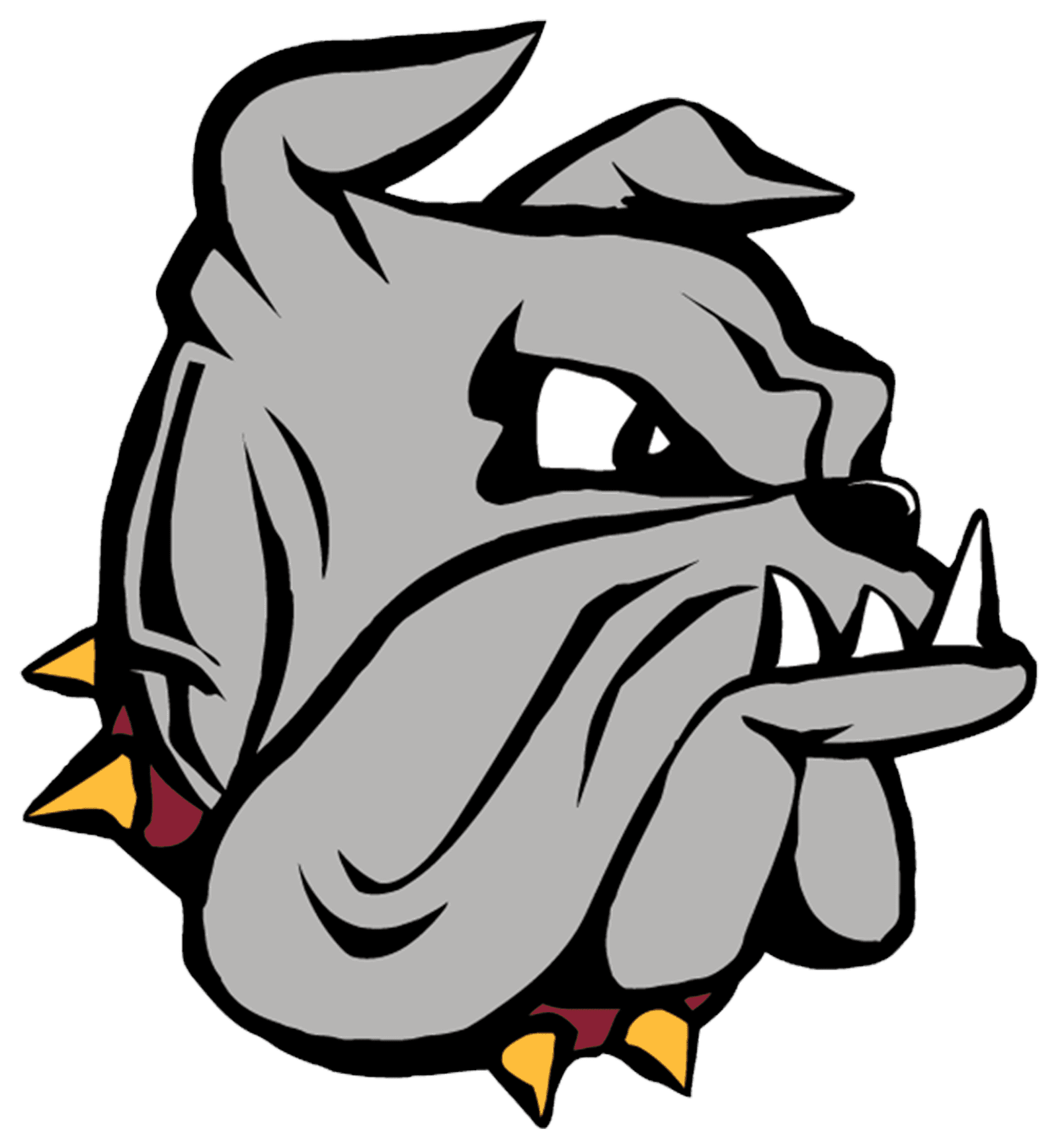 University of Minnesota-Duluth